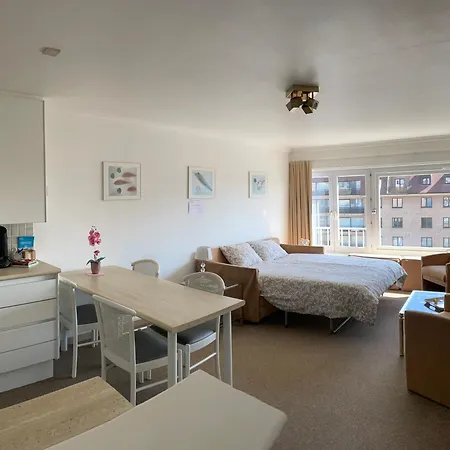 Zonnige Mermoz Koksijde-bad